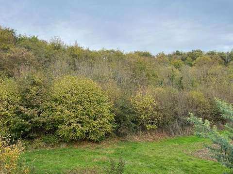 Vente maison 6 pièces Gennes-Val-de-Loire 49