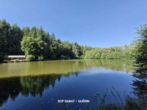 Vente maison 13 pièces Ger 50