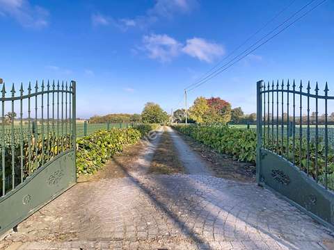 Vente maison 5 pièces Gesté 49