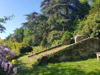 Vente maison 13 pièces