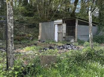 Vente maison