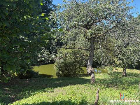 Vente maison 11 pièces