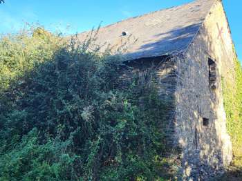 Vente Maison 1 chambreGrand-Auverné
