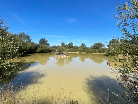 Vente maison 3 pièces Grosbreuil 85