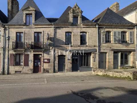 Vente maison 14 pièces Guémené-sur-Scorff 56