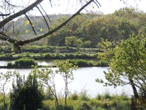 Vente Maison 5 chambresGuérande