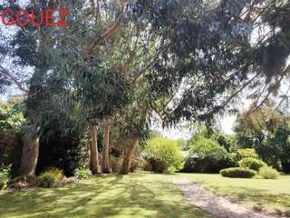 Vente maison 13 pièces