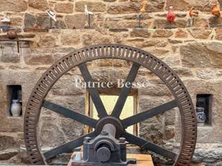 Vente maison 10 pièces
