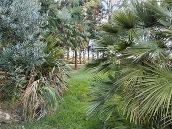 Vente Maison 4 chambresGuipry-Messac