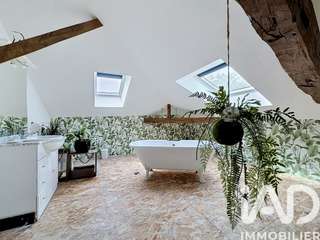 Vente maison 10 pièces