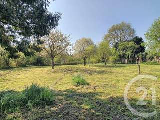 Vente maison 13 pièces