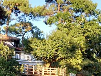 Vente Maison 5 chambresHossegor