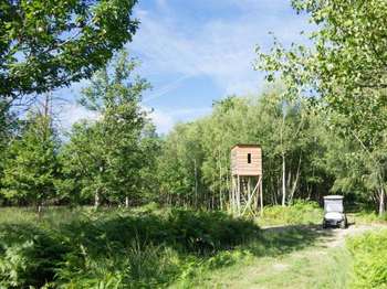 Vente maison 13 pièces Isdes 45