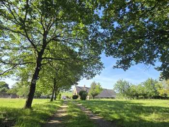 Vente Maison 3 chambresJupilles