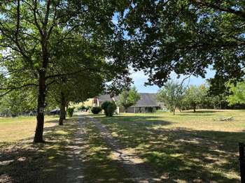 Vente Maison 3 chambresJupilles