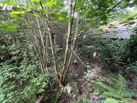 Vente maison 2 pièces Vente maison 2 pièces