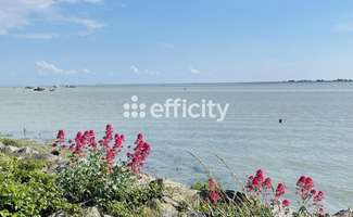 Photo Vente maison L'Aiguillon-sur-Mer