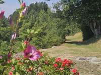 Vente maison 18 pièces