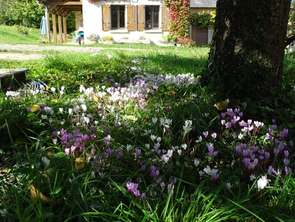 Vente Maison 4 chambresLa Bazoge