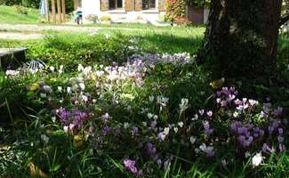 Photo Vente maison La Bazoge