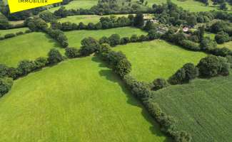 Photo Vente maison La Chapelle-Cécelin