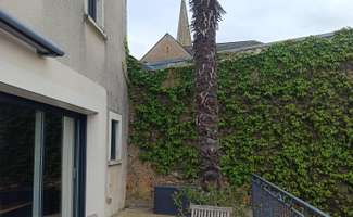Photo Vente maison La Chapelle-d'Aligné