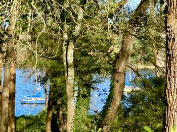 Vente Maison 5 chambresLa Chapelle-sur-Erdre