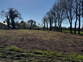 Vente MaisonLa Chapelle-Thouarault