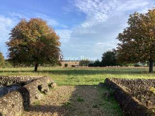 Vente maison 11 pièces