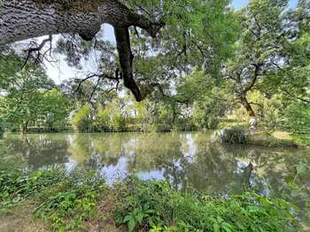 Vente maison 5 pièces La Chartre-sur-le-Loir 72