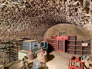 Vente maison 21 pièces