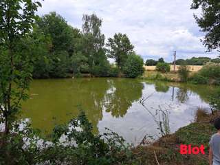 Vente maison 1 pièce