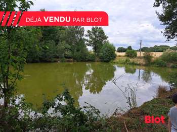 Vente maison 1 pièce La Dominelais 35