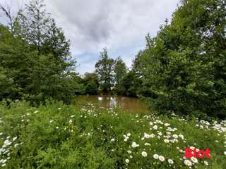 Vente maison 1 pièce