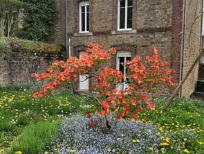 Vente Maison 4 chambresLa Ferté-Macé