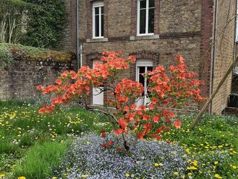 Vente maison 7 pièces La Ferté-Macé 61