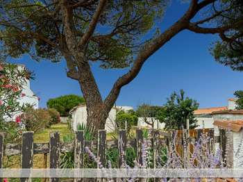 Vente maison 3 pièces La Flotte 17