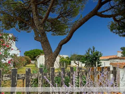 Vente maison 3 pièces La Flotte 17