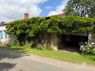 Vente maison 12 pièces