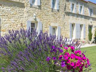 Vente maison 12 pièces