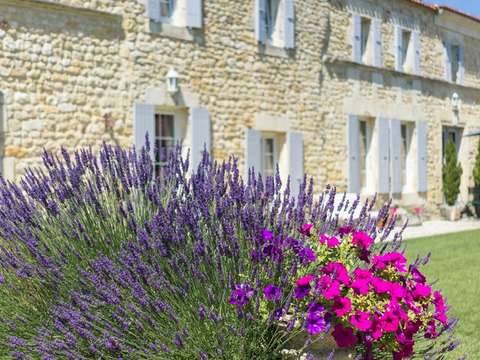 Vente maison 12 pièces