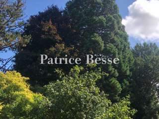 Vente maison 15 pièces