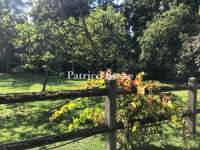 Vente maison 15 pièces