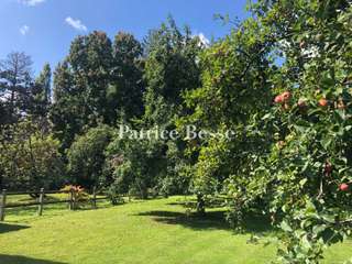 Vente maison 15 pièces