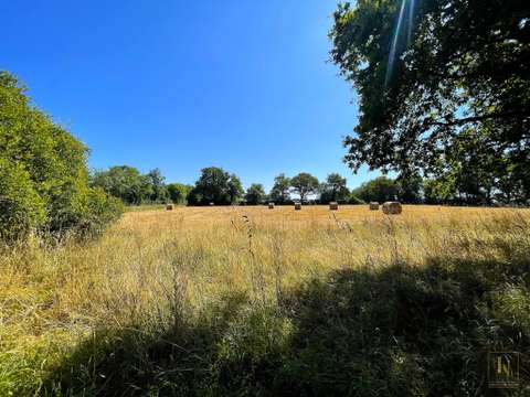 Vente maison 7 pièces La Limouzinière 44