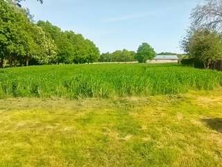 Vente maison 1 pièce