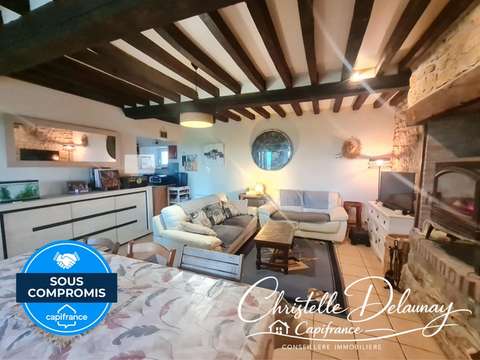 Vente maison 5 pièces La Pallu 53