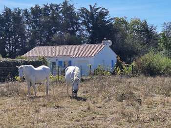 Vente maison 3 pièces La Plaine-sur-Mer 44