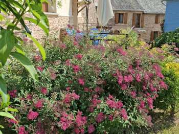 Vente Maison 8 chambresLa Salvetat-Peyralès