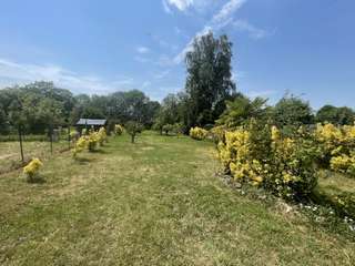 Vente maison 1 pièce Vente maison 1 pièce